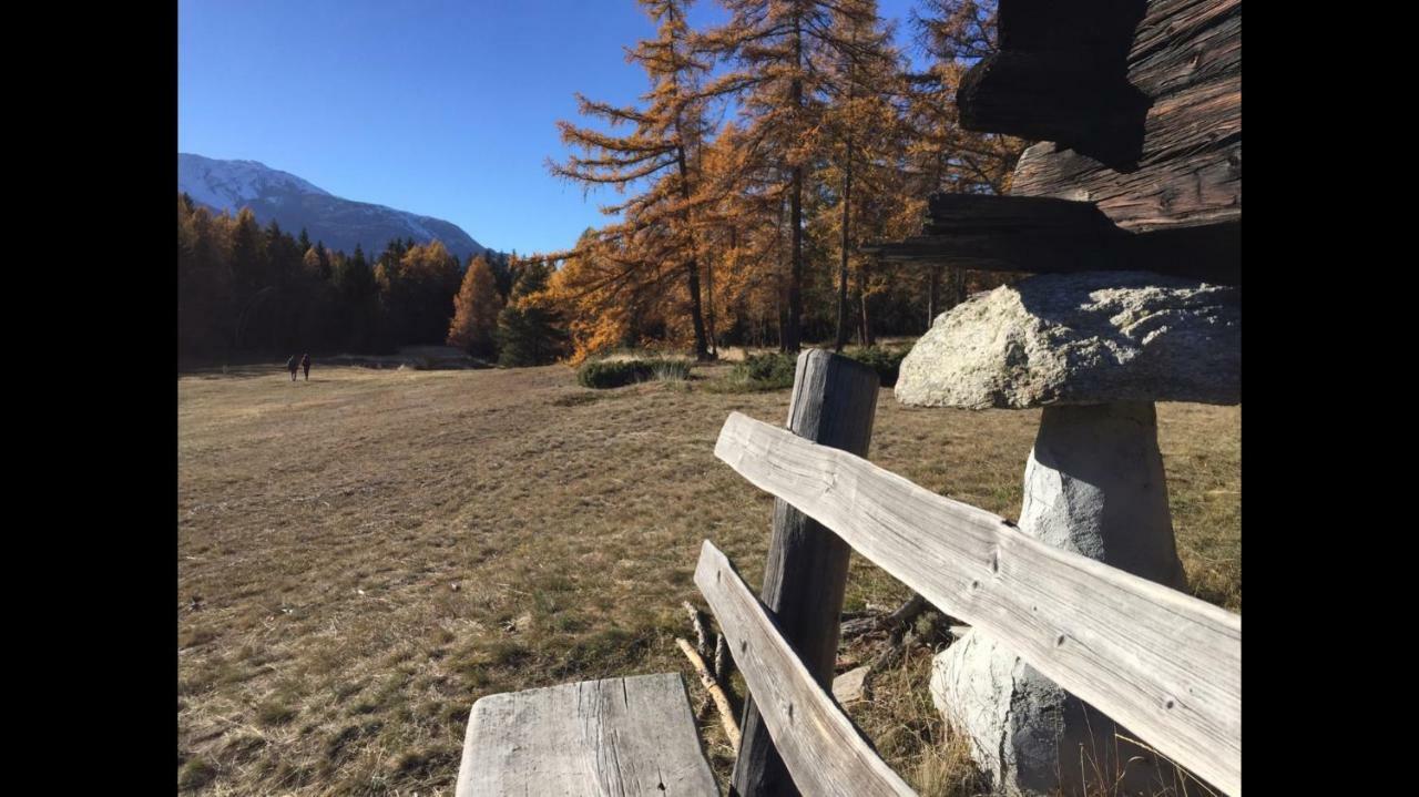Ferienwohnung Im Chalet Firn - Og Bürchen エクステリア 写真