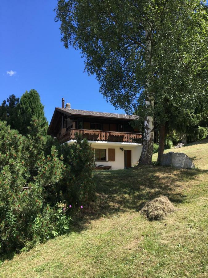 Ferienwohnung Im Chalet Firn - Og Bürchen エクステリア 写真